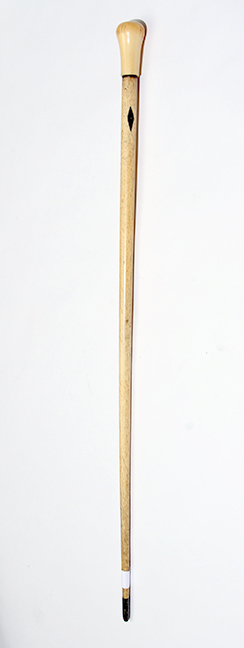 Antique Cane Auction - 237_2.jpg