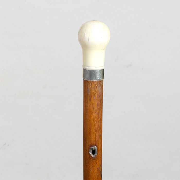 Antique Cane Auction - 33_1.jpg