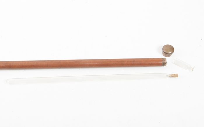 Antique Cane Auction - 39_1.jpg