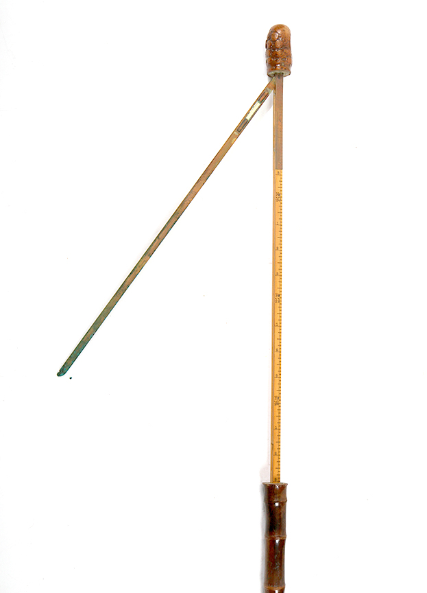 Antique Cane Auction - 73_1.jpg