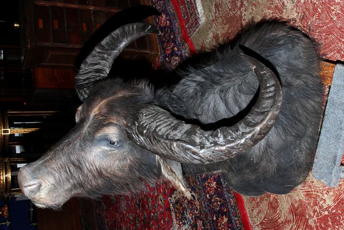 Annual Thanksgiving Auction - 0304.jpg