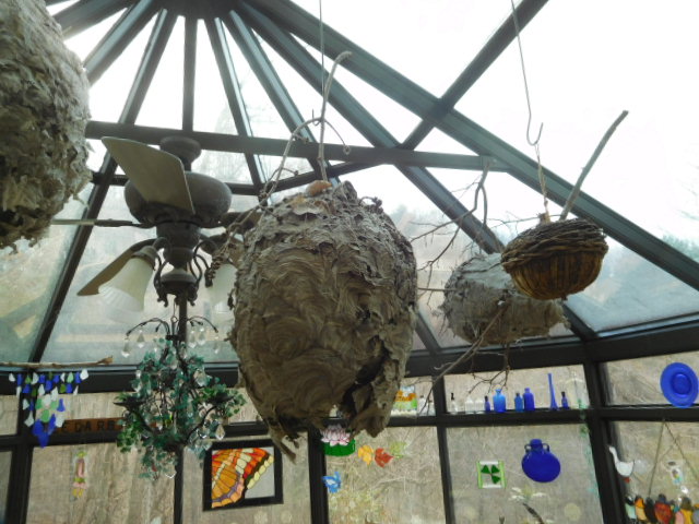 Teegarden Absolute Estate Auction Bristol - DSCN9948.JPG