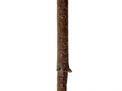 Paul Weisberg Folk Art , Civil War, Etc Estate Timed Auction - 328_1.jpg