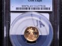 Massive Coin Living Estate Auction-No reserve - 41_1.jpg