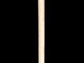 Antique and Quality Modern Cane Auction - 11b.jpg