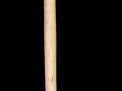 Antique and Quality Modern Cane Auction - 1b.jpg