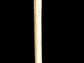 Antique and Quality Modern Cane Auction - 7b.jpg