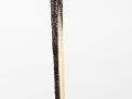 Antique Cane Auction - 70_1.jpg